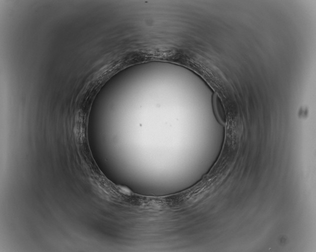 X0000100361058200806131010