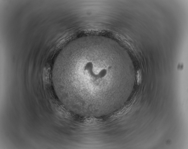 X0000100361059200806131010