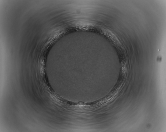 X0000100361060200806131010