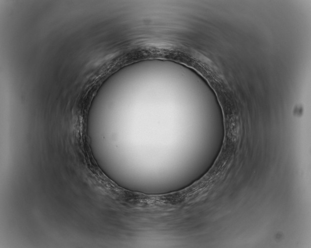 X0000100361061200806131010