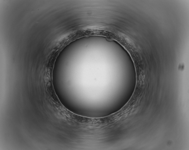 X0000100361062200806131010