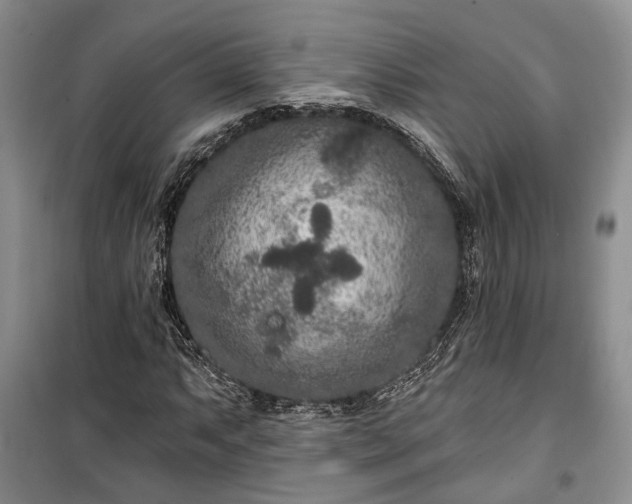 X0000100361063200806131010