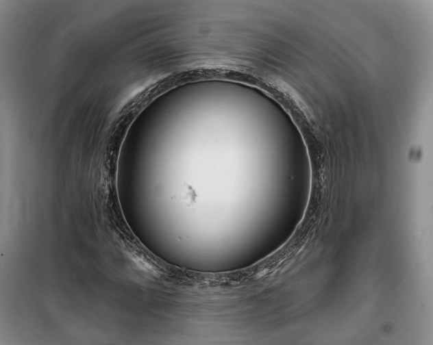 X0000100361064200806131010