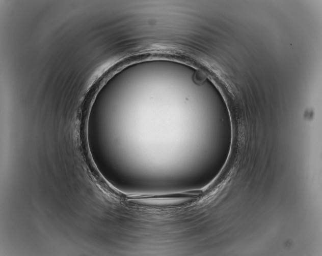 X0000100361066200806131010