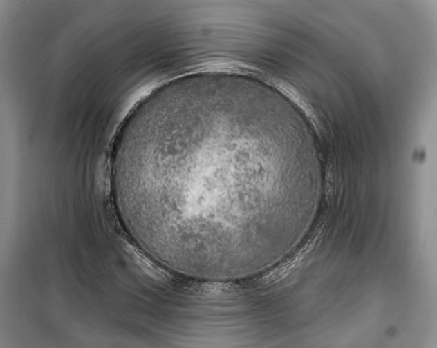 X0000100361067200806131010