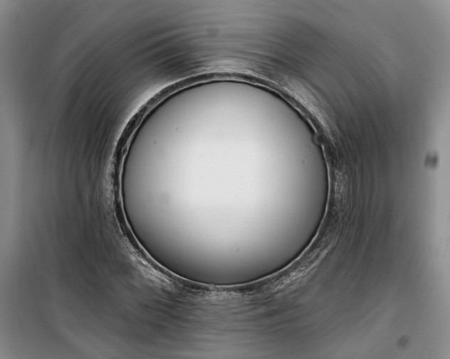 X0000100361068200806131010