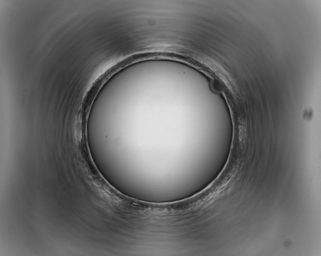 X0000100361069200806131010