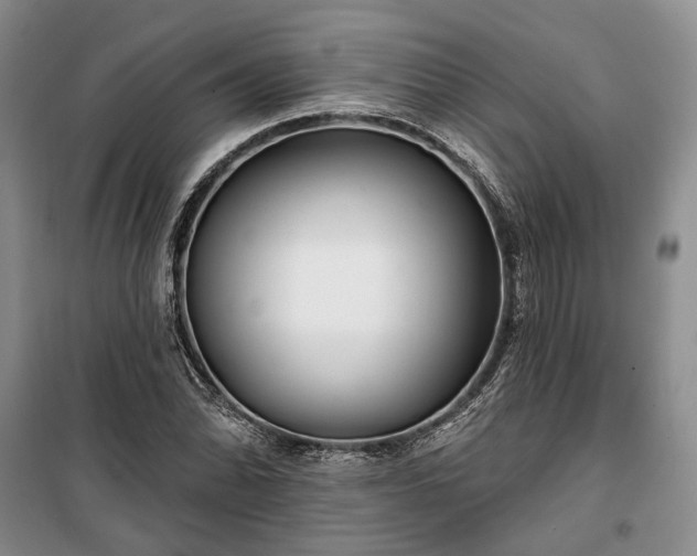 X0000100361070200806131010