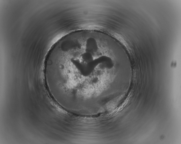 X0000100361071200806131010