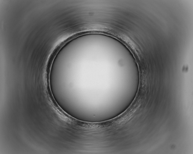 X0000100361072200806131010