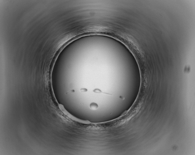 X0000100361073200806131010