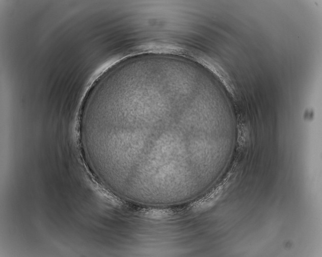 X0000100361074200806131010