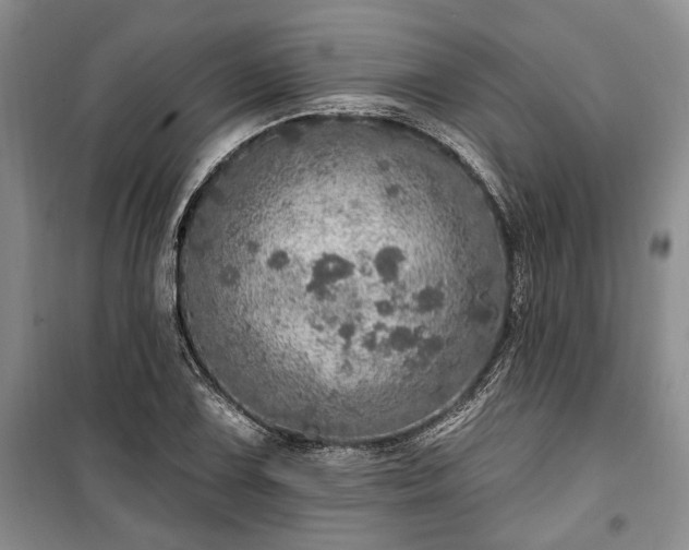 X0000100361075200806131010