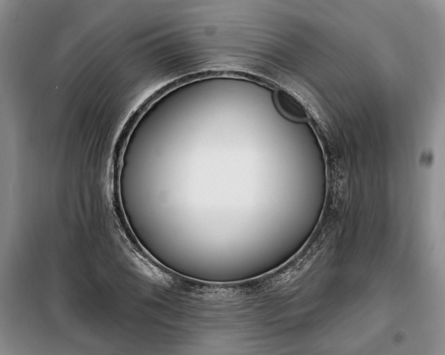 X0000100361076200806131010