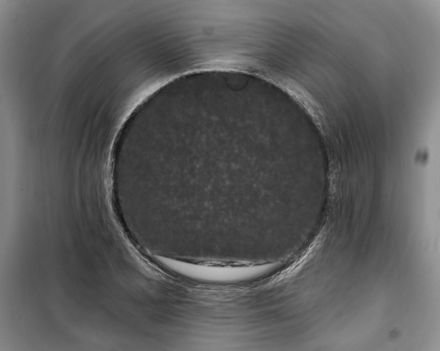 X0000100361077200806131010