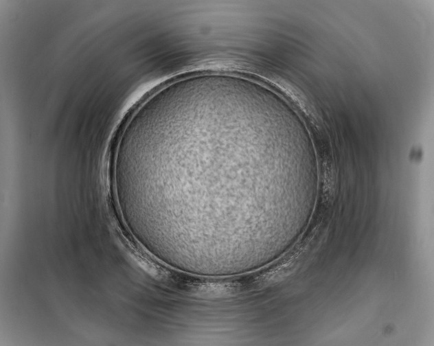 X0000100361078200806131010