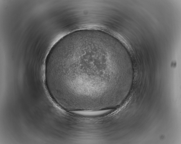 X0000100361079200806131010