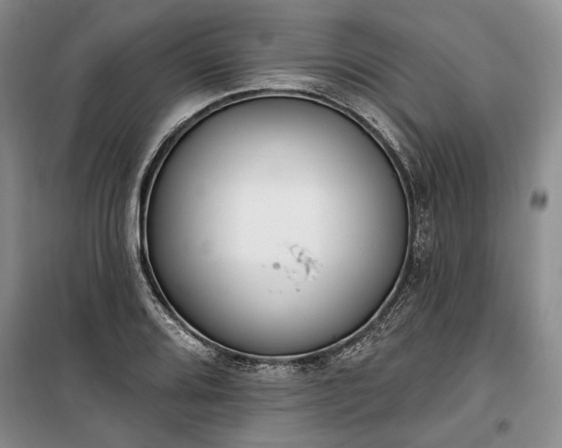 X0000100361080200806131010