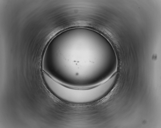 X0000100361081200806131010