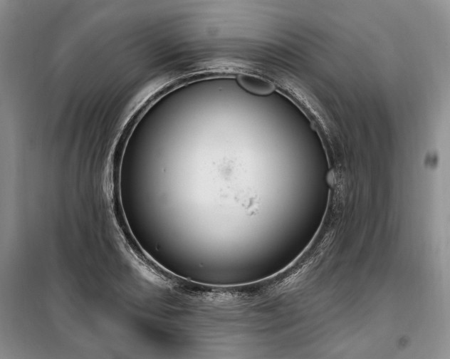 X0000100361082200806131010