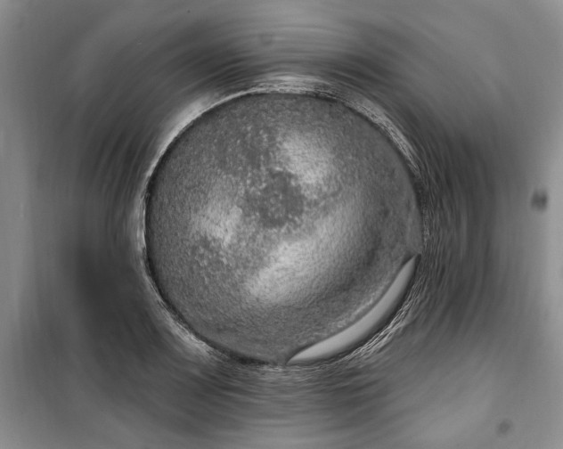 X0000100361083200806131010