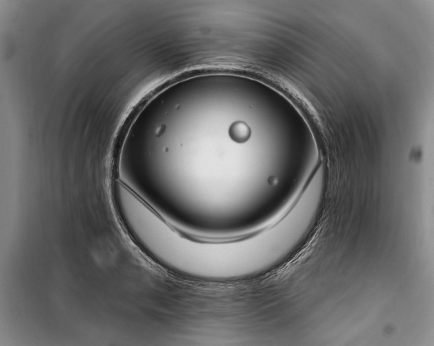 X0000100361085200806131010