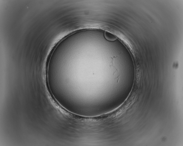 X0000100361088200806131010