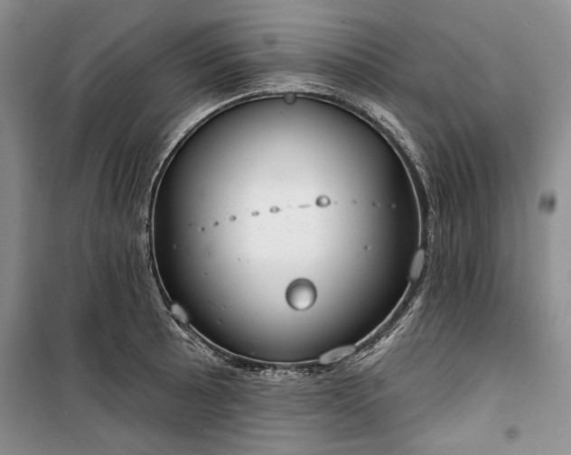 X0000100361089200806131010