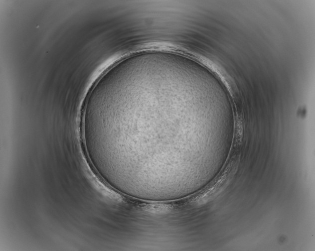 X0000100361090200806131010