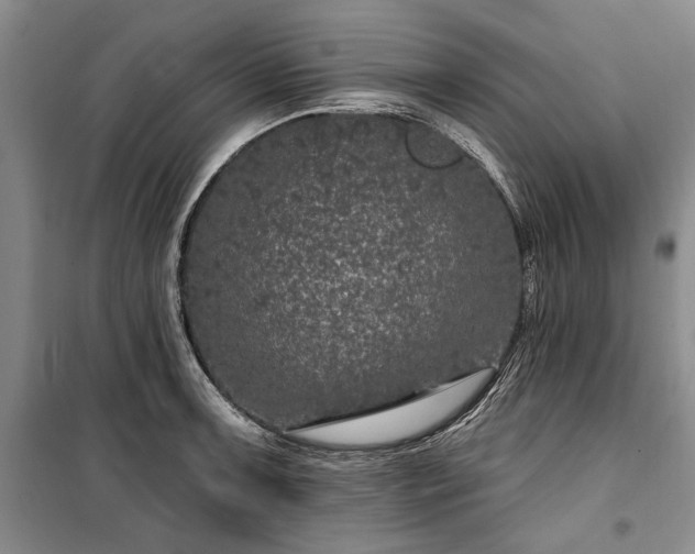 X0000100361091200806131010