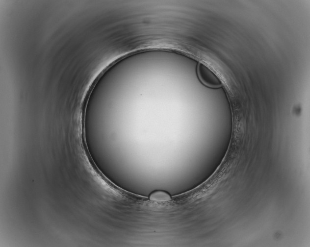 X0000100361092200806131009