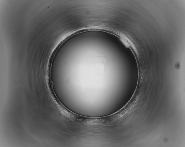 X0000100361093200806131009