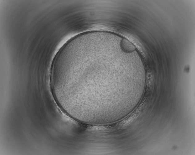 X0000100361094200806131009