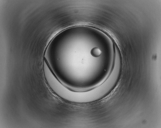 X0000100361097200806131009