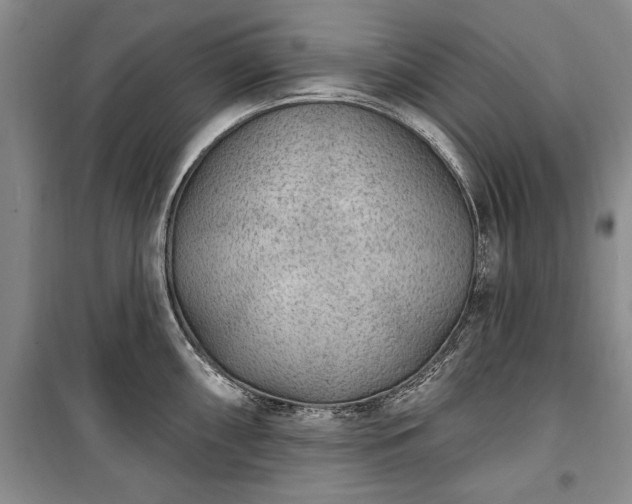 X0000100361098200806131009