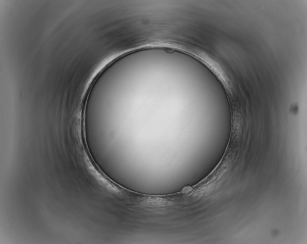 X0000100361100200806131009