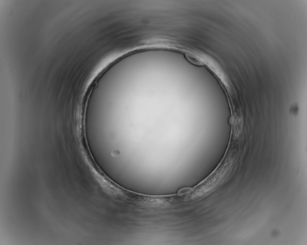 X0000100361101200806131009