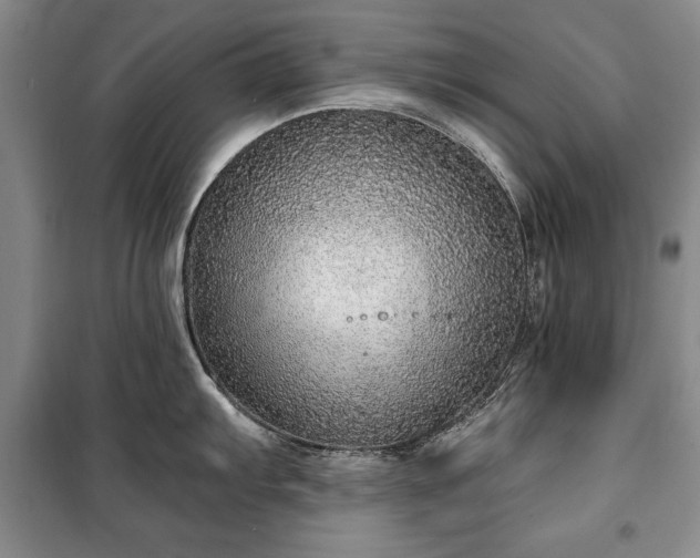 X0000100361103200806131009