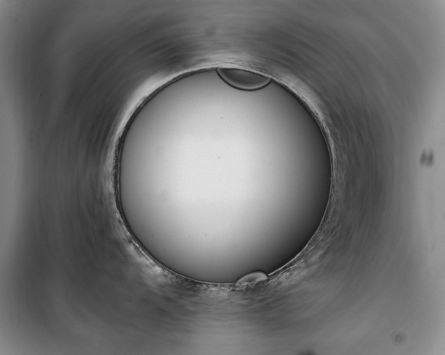 X0000100361104200806131009