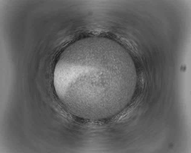 X0000100361105200806131008