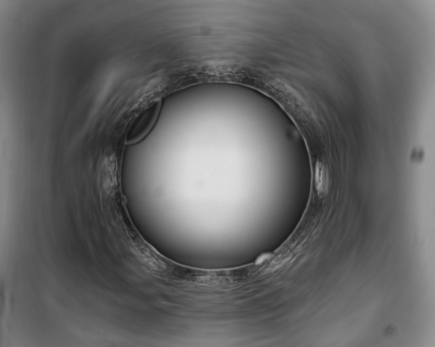 X0000100361107200806131009