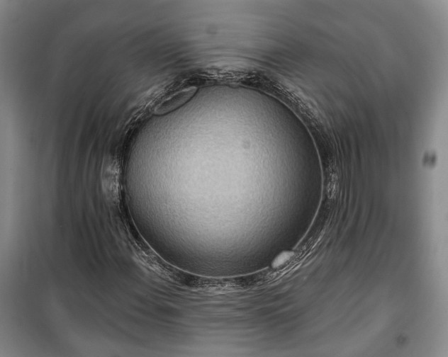 X0000100361108200806131009