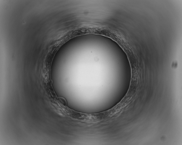 X0000100361109200806131009