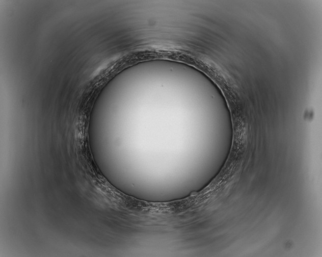 X0000100361110200806131009