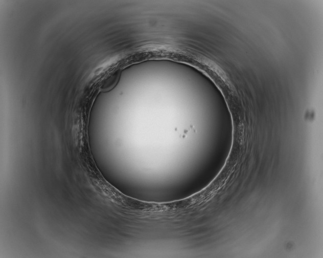 X0000100361111200806131009