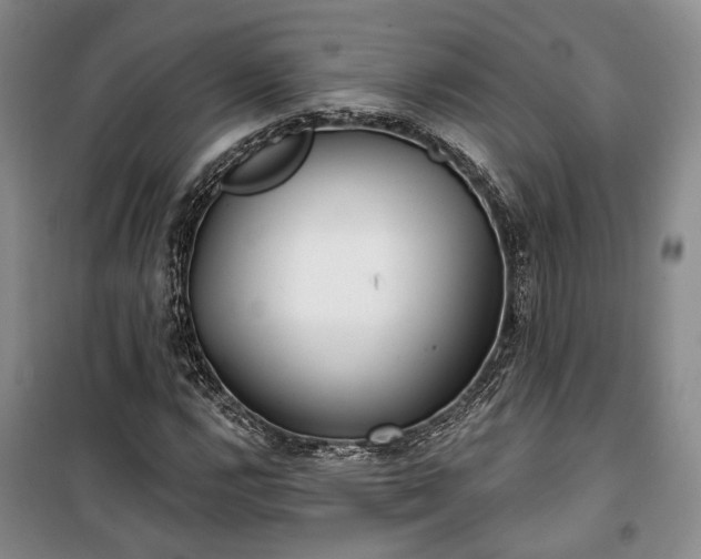 X0000100361112200806131009