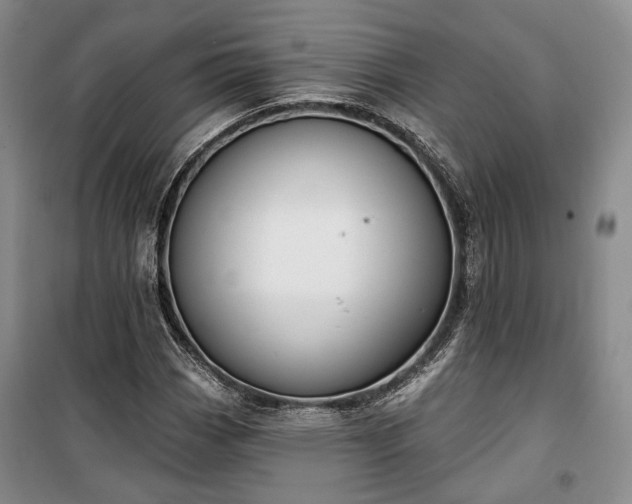 X0000100361113200806131009