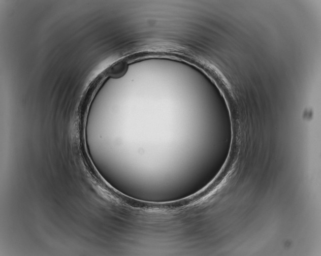 X0000100361114200806131009