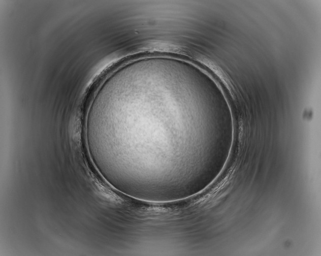 X0000100361115200806131009