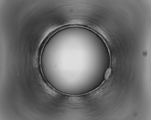 X0000100361116200806131009